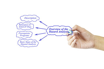 Women hand writing element of Overview of the Hazard Analysis for business concept and use in...