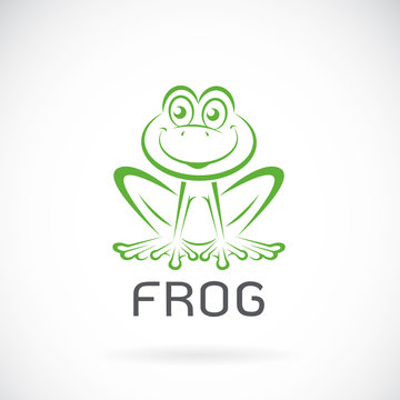 Vector image of a frog design on white background