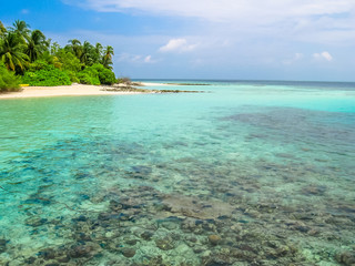 Maldives, Indian Ocean. Palm trees on the white sand beach. Turquoise water of the lagoon paradise. Rocks in the sea and coral reef. North Male Atoll Asdu.