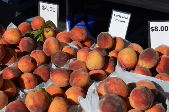 Fresh Peaches displayed for sale at an outdoor Farmers Market