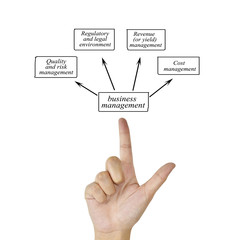 Woman hand and presentation of business management for in business concept and use in manufacturing