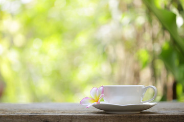white cup and frangipani flower at outdoor