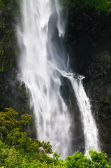 Fototapeta na wymiar Chamarel falls in jungle of Mauritius island. Africa