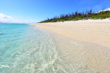 沖縄の美しい海とさわやかな空