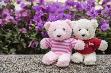 couple teddy bears picnic in garden