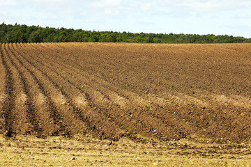 plowed land, furrows  