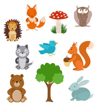 Set of cute cartoon animals. Forest collection