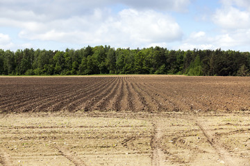 plowed land, furrows  