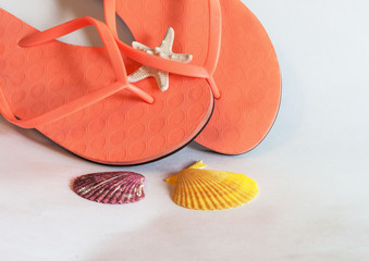 Flip Flops and Star-fish on white background.