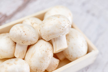 Champignons