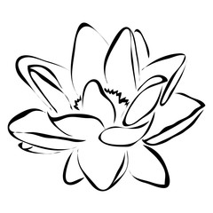 Line flower lotus vector image. Can be use for logo and tattoo