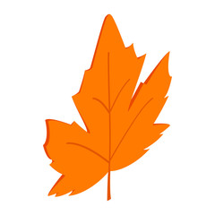 Maple leaf icon, isometric 3d style 