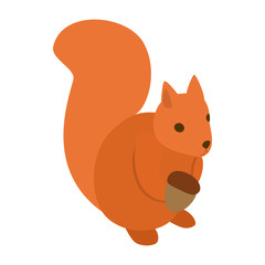 Squirrel icon, isometric 3d style 
