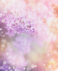 Lilac flowers on beautiful bokeh background. Romantic pastel floral border