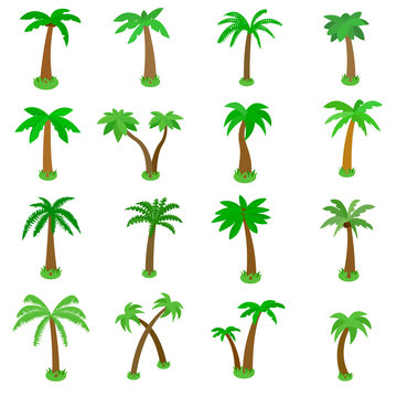 Palm tree icons set, isometric 3d style