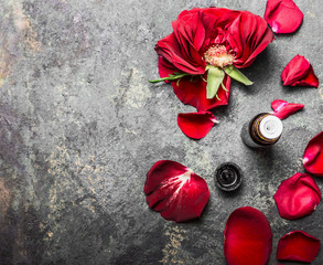 Red roses flowers and petals and bottle of essential oil on gray vintage background, top view, place for text