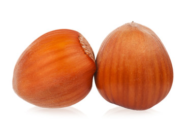 Bright ripe filberts