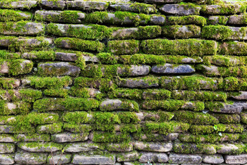 Green moss on old stone wall