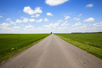 Fototapeta premium road in a field 