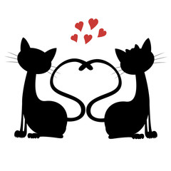 Cute cats - Silhouette of a cat couple in love