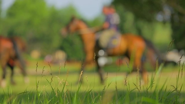 Russian Cossacks On Horses Rehearsing Equestrian Formation