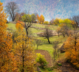 Fototapeta na wymiar Amazing autumn view of a mountain meadow in the central Balkan Mountains, Bulgaria