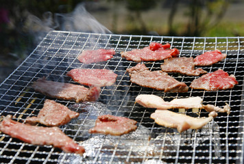 バーベキューと焼肉