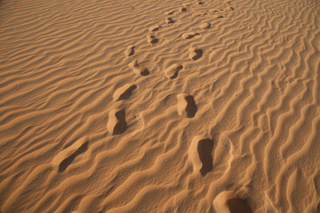 Следы в пустыне