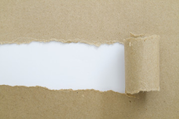 Blank torn paper with copy-space.