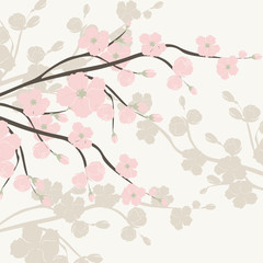 Spring is coming background tree with blossom flowers. Vector spring background. cherry blossoms on tree branches. Cream color
