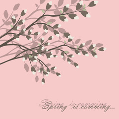 Spring is coming background tree with blossom flowers. Vector spring background. cherry blossoms on tree branches. Calligraphic frame. Place for text. Pink color