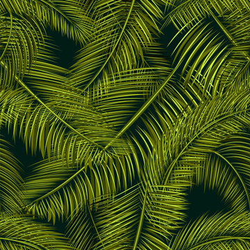 palms pattern 1