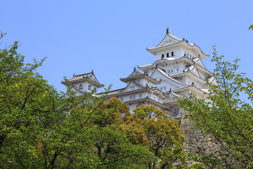 Naklejka premium Himeji Castle in Japan
