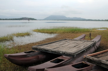 Obraz premium Morning on the lake of the island of Sri Lanka.