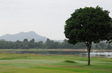 Morning on the lake of the island of Sri Lanka.