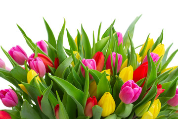 bouquet of  yellow, purple and red  tulips