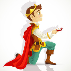Prince Charming was on my knees asking the marriage © Azuzl