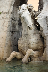 Fototapeta na wymiar Rome,Italy,Piazza Navona,horse,Fountain of the Four Rivers.