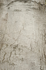 wood texture