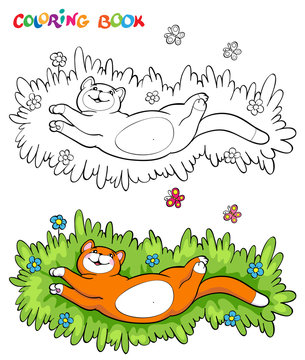 Coloring book with red cat on the grass with two butterflies - vector illustration.