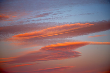   in the colored sky white soft clouds and   background