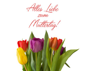 Tulpenstrauß, Schrifzug "Alles Liebe zum Muttertag"