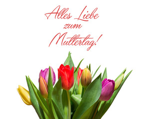 Tulpenstrauß, Schrifzug "Alles Liebe zum Muttertag"
