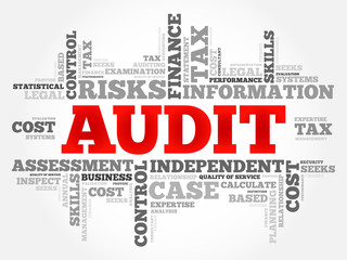AUDIT word cloud, business concept