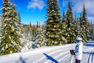 Fototapeta premium Woman skier on the slopes enjoying the view of the forest at the village of Sun Peaks in the Shuswap Highlands of central British Columbia, Canada