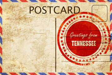 Vintage postcard Greetings from tennessee © Argus