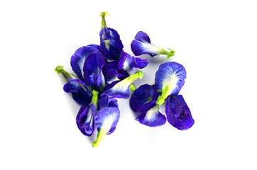 Fototapeta na wymiar Butterfly pea or Blue pea flowers isolated on white background
