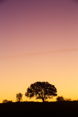 Fototapeta na wymiar Kalahari sunset