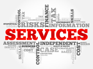 SERVICES word cloud, business concept