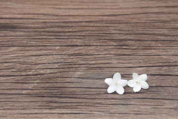 Obraz na płótnie Canvas Flowers are white with wood in spring.